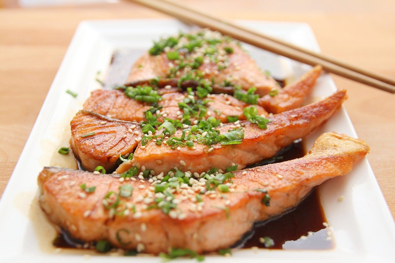 food, salmon, teriyaki